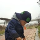 다시;봄김밥 이미지