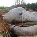 534 | 블랙야크 100대 명산 (장흥 천관산)