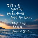 78대22.어른들 동화.위대한거상.육여사추억 이미지