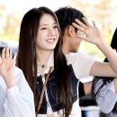 로라 티스토리