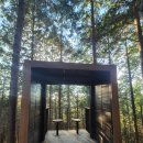 부산레포츠하동르카프 | 하동편백자연휴양림 1박 힐링여행