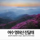 진달래 이미지