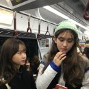 솜댕 이미지