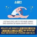 선양 International | 크로스핏 드랍인 &#34;CrossFit Subtero Underground&#34; 섭테로 언더그라운드 level 1 후기 (예약, 비용, 위치)