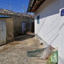 신기마을회관 이미지