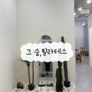 소도구 필라테스 | [영종도 하늘도시 필라테스] 그숨,필라테스｜체형교정·소도구 필라테스 솔직 후기