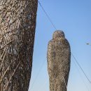 파주 끝자락에 자리한 세상의 경계 "평화누리공원" 알아보기 이미지