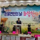 손불