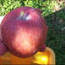 에덴농장2 이미지