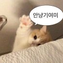조*학 이미지