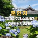 혼인지 이미지