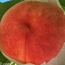 하송농장 이미지