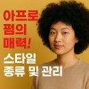 79 | “2년째 유지 중! 이 머리 한 번 하면 못 돌아옵니다 — 돈암동 시바드 레드락 아프로 펌 리얼 후기”