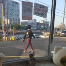 토토페키 이미지