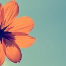 옛날막창 이미지