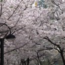 호수언저리 이미지