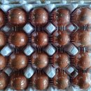 삼태산 농장 이미지