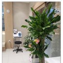 주완치과의원 이미지