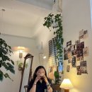 포시즌(4SEASONS) 이미지