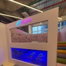 퍼플주니어 키즈카페 루원시티점 이미지