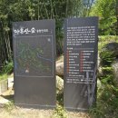 부산 기장 가볼만한곳 &#39;아홉산숲&#39;의 대나무숲과 관미헌 한옥 구경하기 / 부산 드라이브 가족나들이 추천