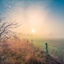 아침풍경 이미지