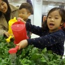 현대그린환경 이미지