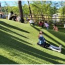 계명대마스터태권도 이미지