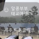 알콩제주 이미지