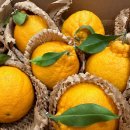 (주)올제 이미지