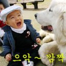 미소 - 남동구 도림로31번길 12 | 미소