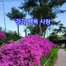 화요일 이미지