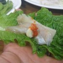올레 비치 이미지
