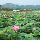 신정호수공원-9 이미지