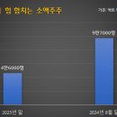 마이주주 이미지