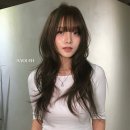 A'YOUTH(어유스) | 요즘 가장 예쁜 브라운 컬러, 올리브 브라운 전포 어유스헤어