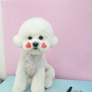 왈테이블 이미지