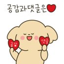 금빛부동산공인중개사사무소 이미지