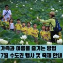 [2026년 7월 주말 가볼만한곳] 수도권(서울, 경기) 가족 나들이 행사 및 축제 총정리