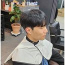 참신미용실 네이버블로그