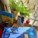 대아종합식품 | 50대 여자 영양제 닥터로하스 닥터올인원 항산화,스트레스완화,면역건강,뼈건강,지구력증진 한방에
