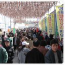 바다축제 이미지