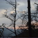 여울목펜션민박 이미지