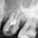 서울특별시청치과의원 이미지