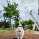중앙공원 화장실(사무실) 티스토리