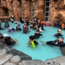 위너 태권도 이미지