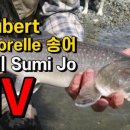 원복송어양식장 네이버블로그