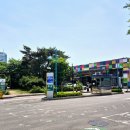 서울 양재 가볼만한곳: 양재 꽃시장, 지하, 영업시간, 주차
