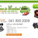 이안숲속야영장 이미지