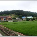 거전마을 이미지